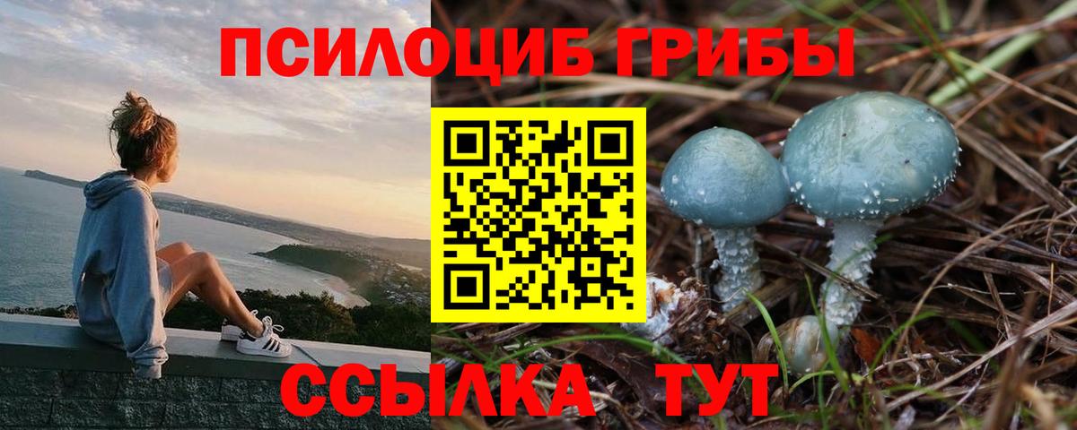 Псилоцибиновые грибы прущие грибы  Псилоцибиновые грибы мухоморы  Ейск  Вход с VPN 