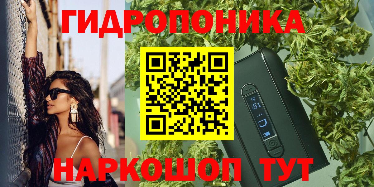Конопля Ganja  Каннабис Amnesia  Бошки Шишки план  Ейск  Вход с VPN  Шишки марихуана индика 